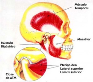 Imagem ilustrativa da articulação tempuro mandibular